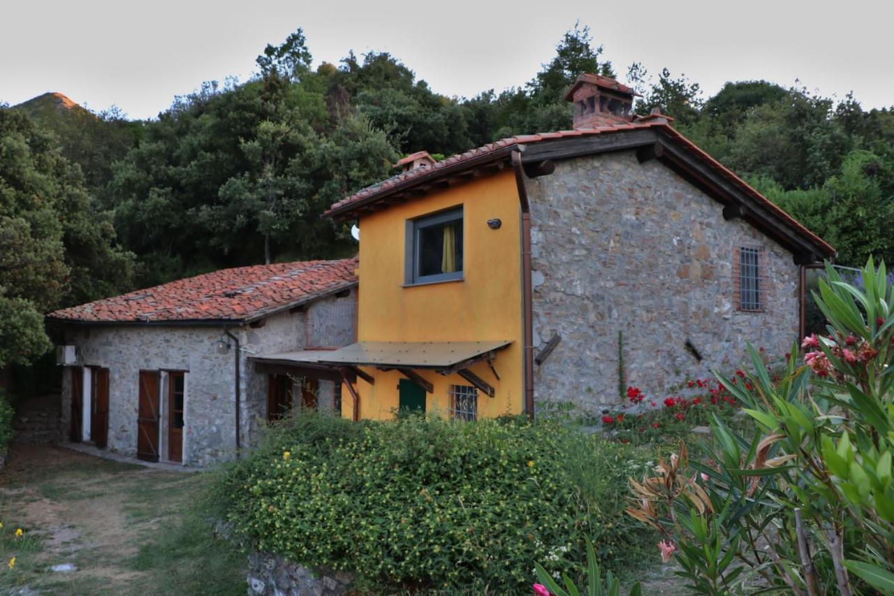 Casa Beatrice Villa Camaiore Exterior photo